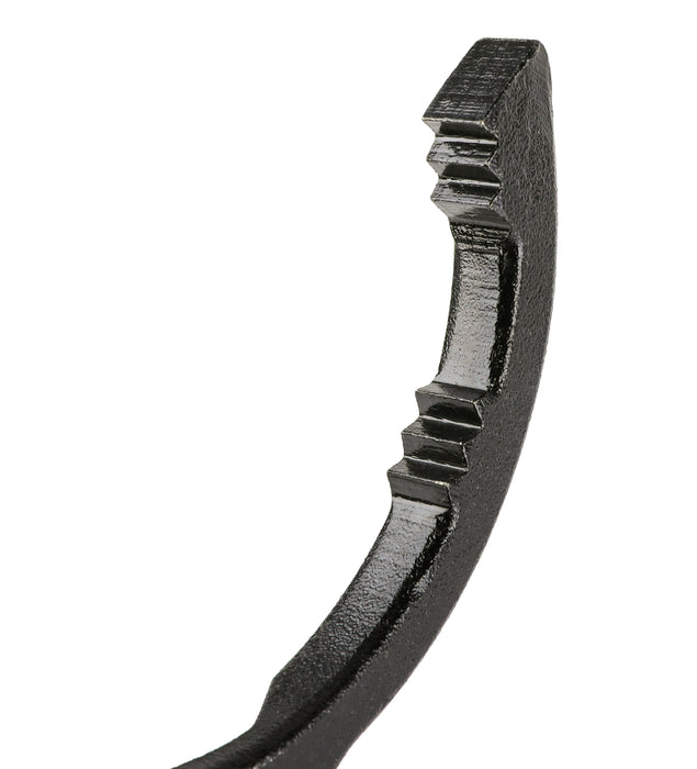 ARES 56032 - Alicates para filtros de aceite de 12 pulgadas